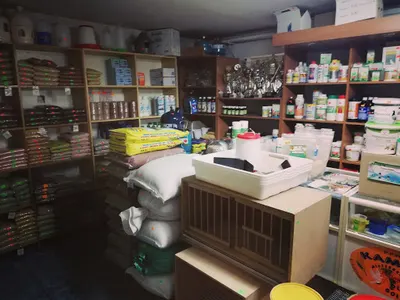 Sklep "Wszystko dla ptaków ozdobnych i hodowlanych"